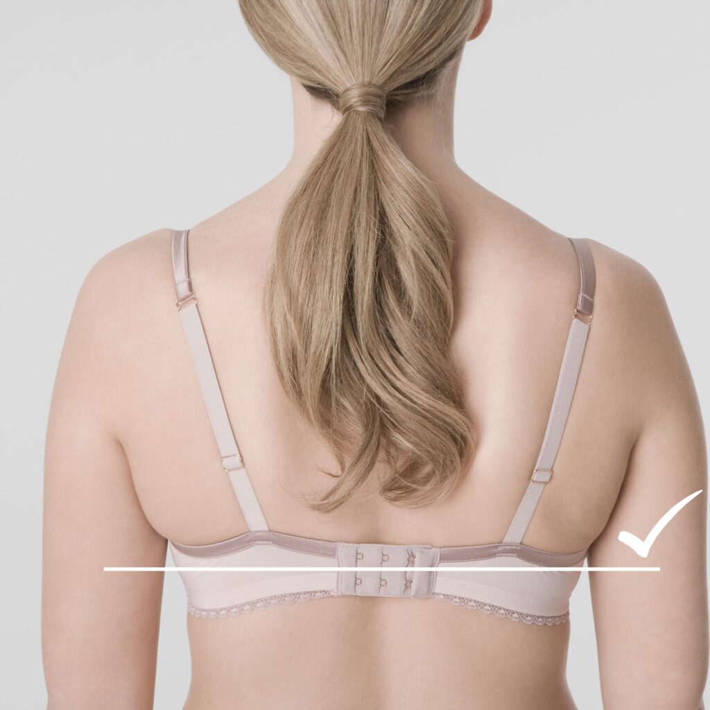 which bra is best for perfect shape